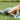 Understanding Bosu Balance Trainers