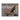 Xpeed Home Series Gym Ball 75cm